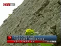  ӿ裺Ļǿƪ