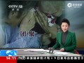 ֱ䡷 ɢ罫