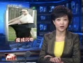 š ӳɹ305