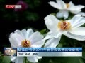 CQTVš 潭ֻ2014԰ղ