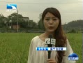 š 黺ָ