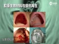Ƶƽ120겻
