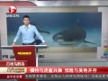 ÿű ͹Ⱥģ뻢蹲 ޲