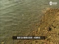 Ƶ-ĳ彲߶ˮϰ