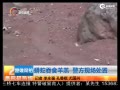 ֳ:2.6 ͱ񾯻׽