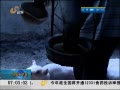 簲ɽ Ǯ Ȧﲻǰ