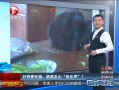 ų 溦è߲˷