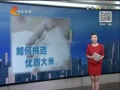 񳯡 ѡʴ