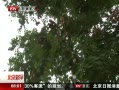 硷 ¶ ¶ͬ
