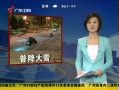 㶫糿 սѩ