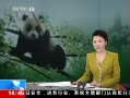 ֱ䡷 Ĵ èҰ 㵽è