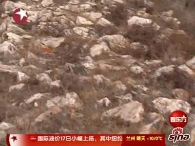 视频：内蒙古调查采矿者拆除百米秦汉长城事件