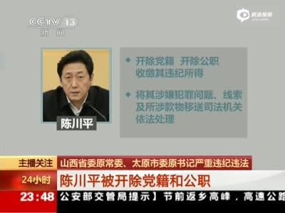 陈川平被开除党籍和公职