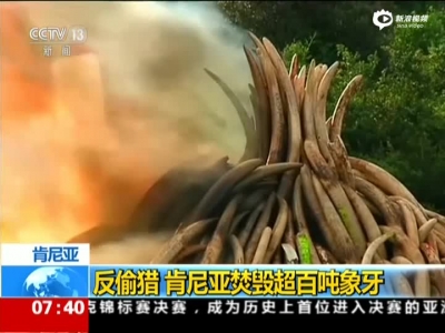 肯尼亚反偷猎销毁百吨象牙