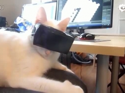 当猫遇上Oculus