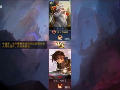 王者荣耀老夫子视频