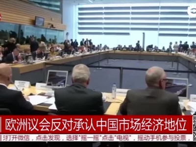 欧洲议会反对承认中国市场经济地位