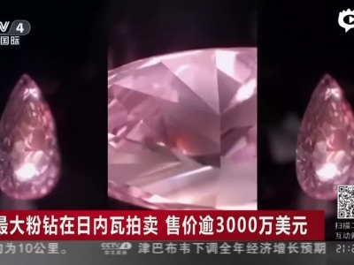 《中国新闻》最大粉钻在日内瓦拍卖  售价逾3000万美元