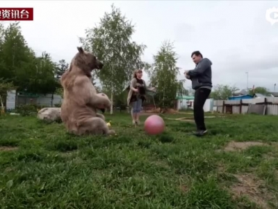 俄罗斯夫妇养23岁大熊当宠物