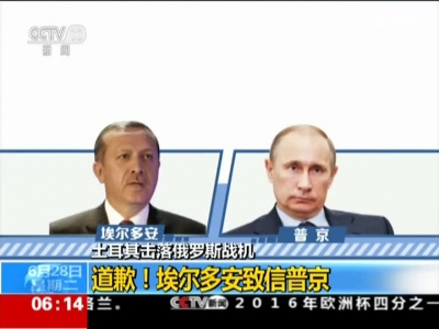 土耳其总统向普京致歉