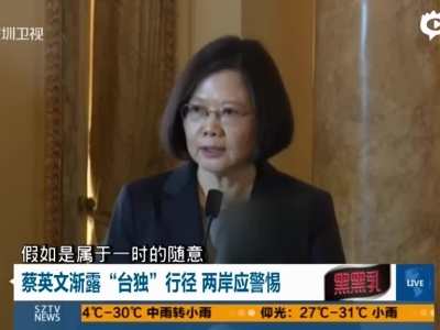 蔡英文自称“台湾总统”