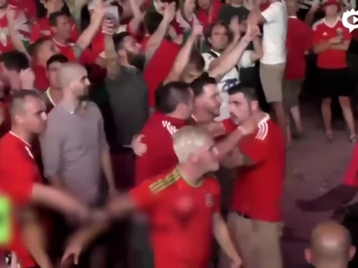 威尔士葡萄牙球迷斗殴