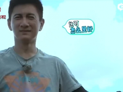 法则吴奇隆孙艺洲瘤牛训练