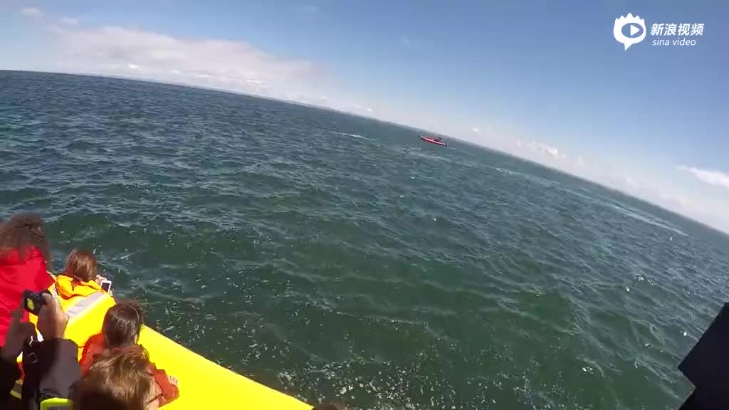 实拍加拿大巨型鲸鱼直扑小船 游客尖叫连连
