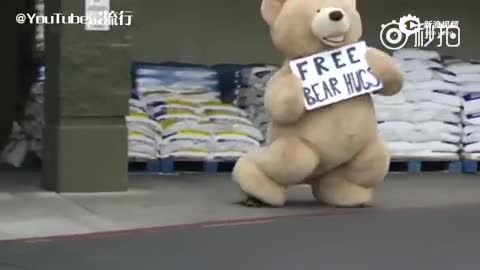 免费“熊”抱！一只大熊上街玩耍遇见路人就抱抱