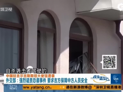 中国驻吉使馆遭汽车炸弹袭击