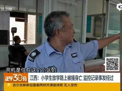 《正午30分》江西：小学生放学路上被撞身亡  监控记录事发经过