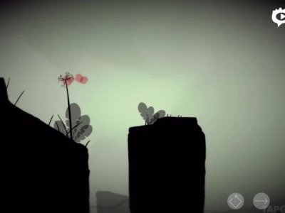 蒲公英说Dandelion