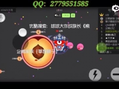 《球球大作戰(zhàn)族長》混亂的自由模式，好鬼畜的打法！團隊超神生存教學視頻嘉年華零之生存啟_標清