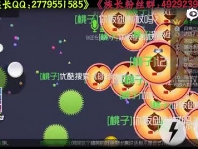 《球球大作战族长》被无视的族长，无情吃遍全场！零之启金龙塔坦杯塔坦精英挑战赛企鹅团队教程_标清