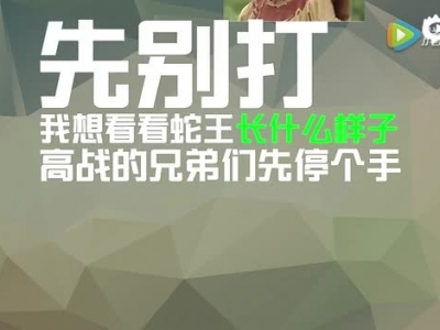 御龍手游指揮官來(lái)了—第五期