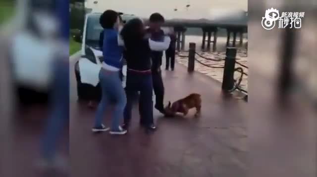 山西两女子和一条狗围攻老人 警方:因狗打架正调查