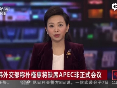 朴槿惠将缺席APEC非正式会议