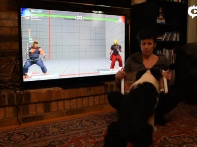 Dog does a hadoken! Street Fighter V