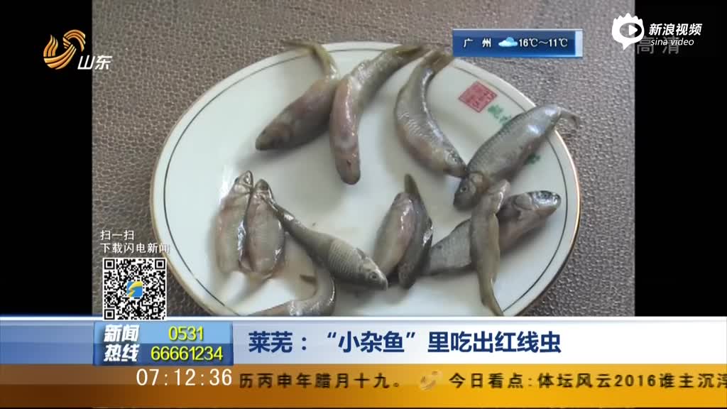 市民“小杂鱼”里吃出红虫 商家称吃了无害