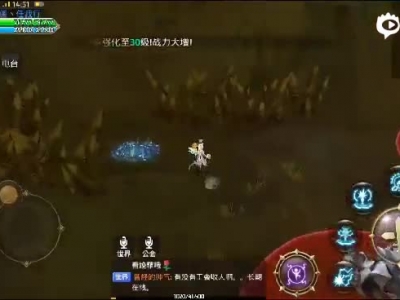 雾气森林