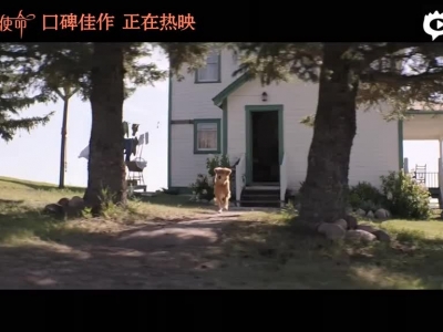 《一条狗的使命》原片片段