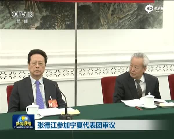 张德江参加宁夏代表团审议