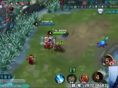 【王者荣耀林凡】猴子排位日记！背心真的那么丑？_高清