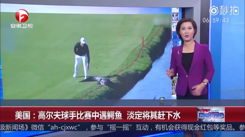 高尔夫球手比赛中遇鳄鱼 淡定将其赶下水