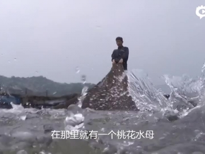 微视频：一滴东江水漂流入港记
