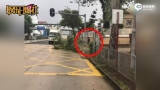 视频：神秘男子台风天街头砍树清路 没想到竟是周润发