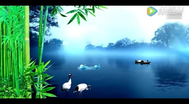 求月光下的凤尾竹这首葫芦丝乐曲的创作背景,谢谢: 《月光下的