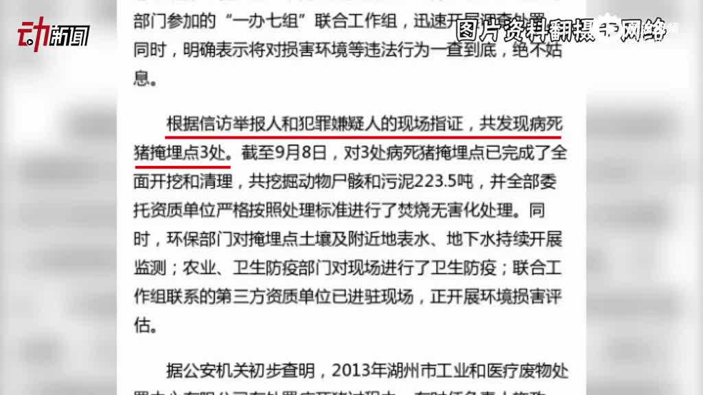 浙江湖州通报“偷埋病死猪”：2013年所埋