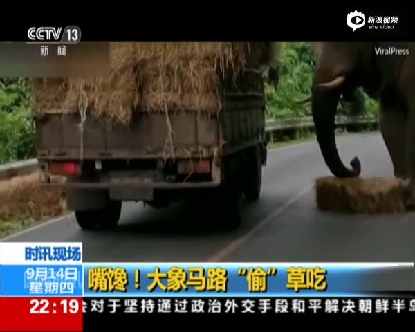 泰国一大象在路边“打劫” 偷走一捆干草