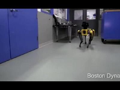 波士顿机器狗竟然会开门了！
